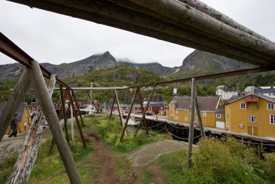 Lofoten-226