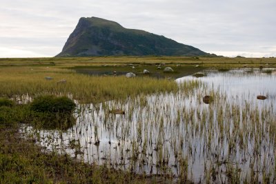 Lofoten-308