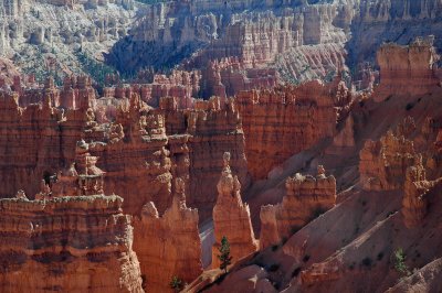 BryceHoodoos1.jpg