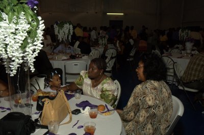 Celethia_Jason468.jpg