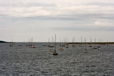 _MG_7888_cs3.jpg