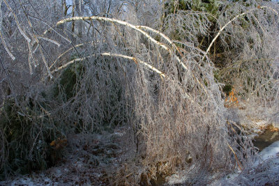 Ice Storm