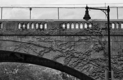 _MG_6107_cs4_bw3.jpg