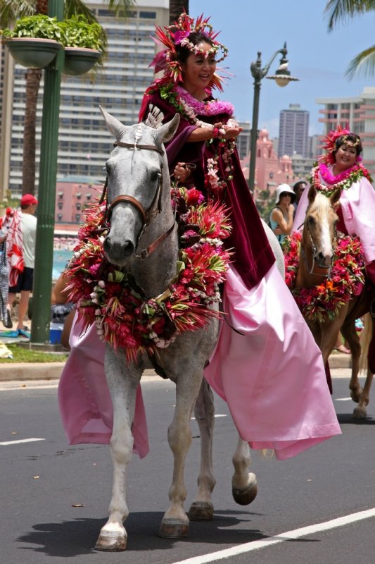Pau Rider