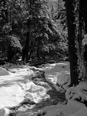 Creek in the snow
