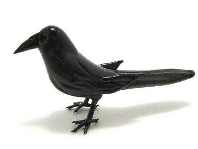 crow1.jpg