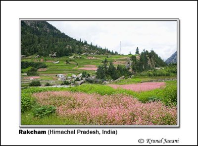 Rakcham 1 10162.jpg
