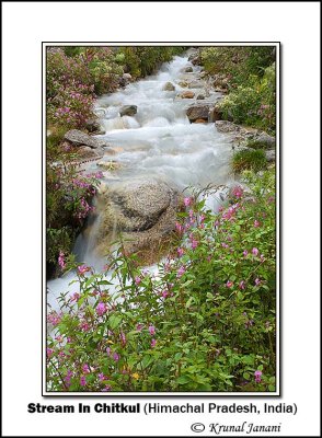 Stream in Chitkul 10207.jpg