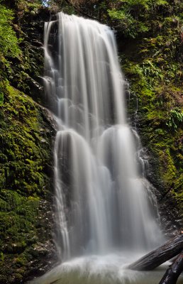 berry-creek-falls-2009.jpg