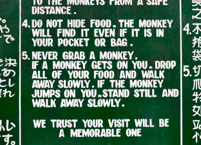  Never Grab a Monkey