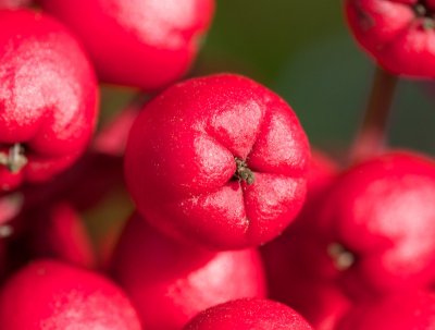 g1/89/612589/3/132018589.zN5bbEV7.jpg