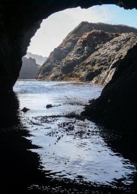 Mendocino 2012