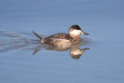 IMG_9630.JPG