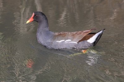 IMG_2993.JPG