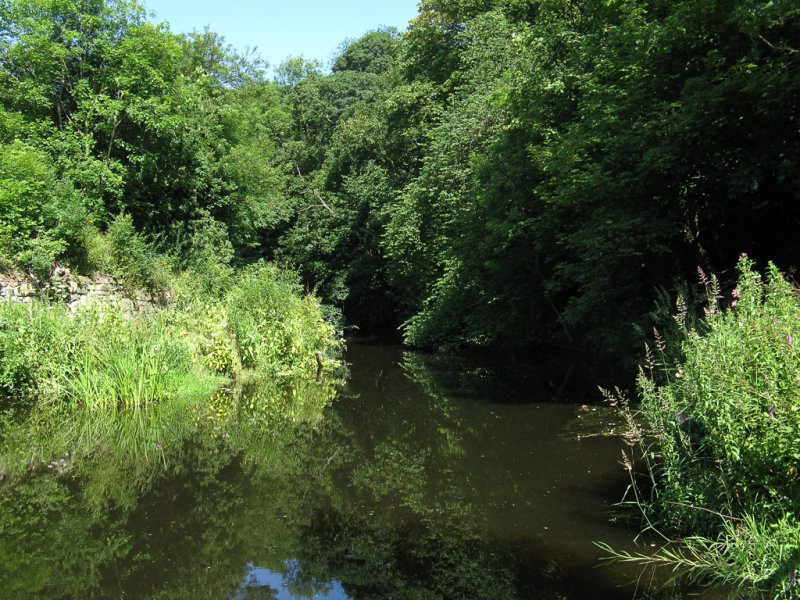 Water of Leith