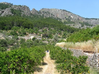 Soller