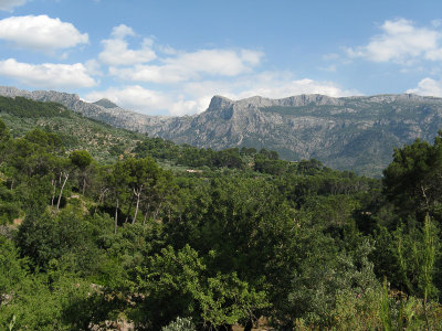 Soller