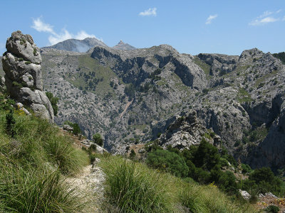 View north-east from Gran Cornador