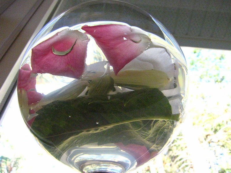 MORGAN'S PETAL COLLECTION.