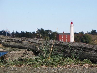 Leaves logs and lighthouse.