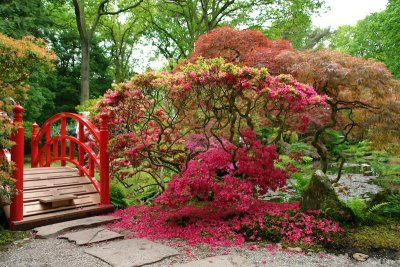 Japanese garden, Clingedaal