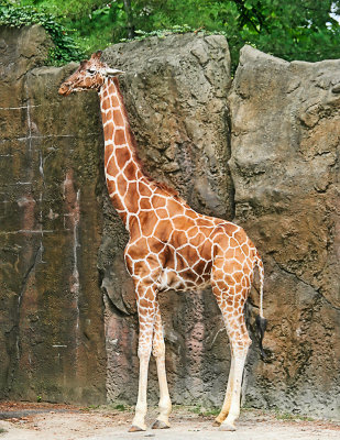 Philadelphia Zoo