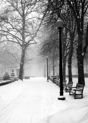 Rittenhouse winter