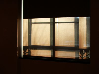 shadow light