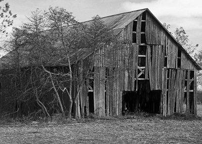 Tobacco Barn