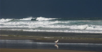 at Flat Rock, near Currumbin