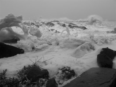 Snapper Rocks, near Pt Danger