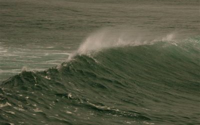 Duranbah beach wave back