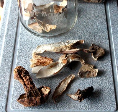 dried mushrooms w morel