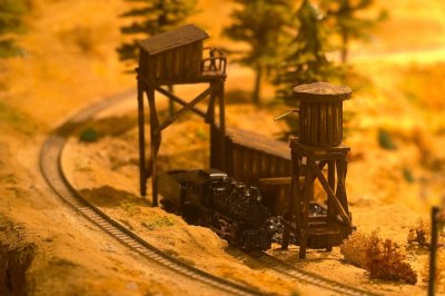 sized_CRW_1768.JPG