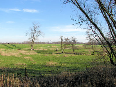 IMG_2008.JPG