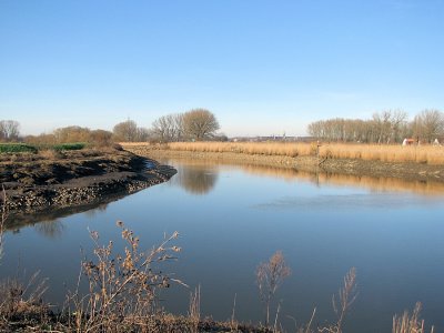 IMG_2014.JPG