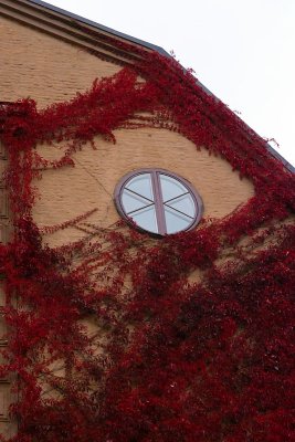 Round window, red wine