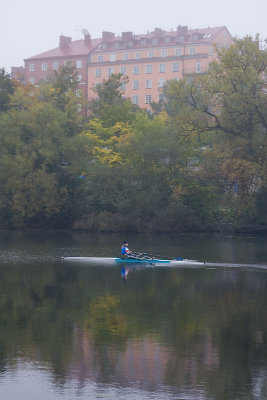 The morning rower