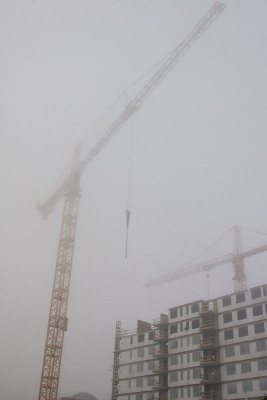 Cranes in fog