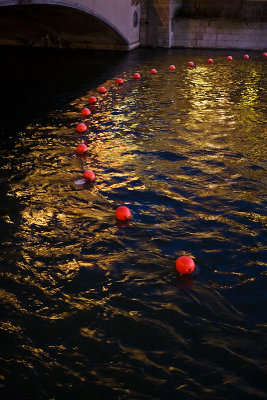 Buoys in cold water
