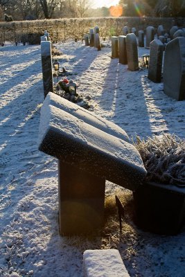 Low winter sun on the cemetery