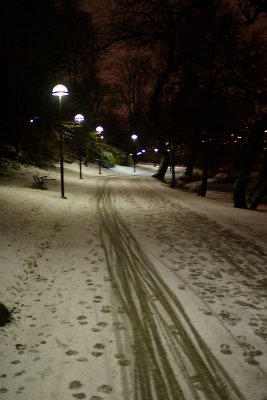 A winter bicycle path