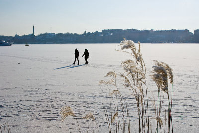 Walk on the ice