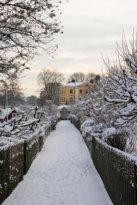 The winter garden