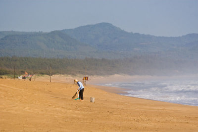 Sweeping the beach
