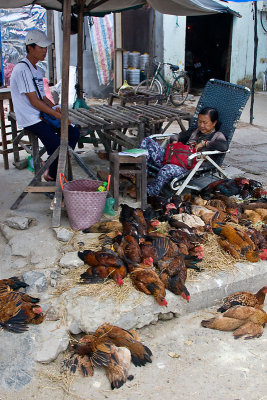 Selling poultry