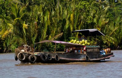 The coconut boat