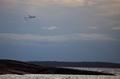 Evening flight