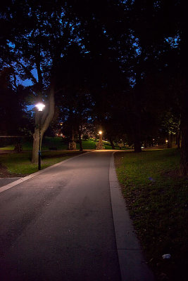 The park lane after dark