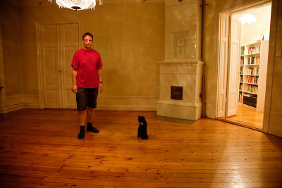 The cat and I in an empty room